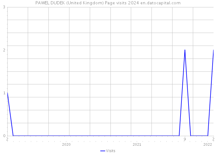 PAWEL DUDEK (United Kingdom) Page visits 2024 