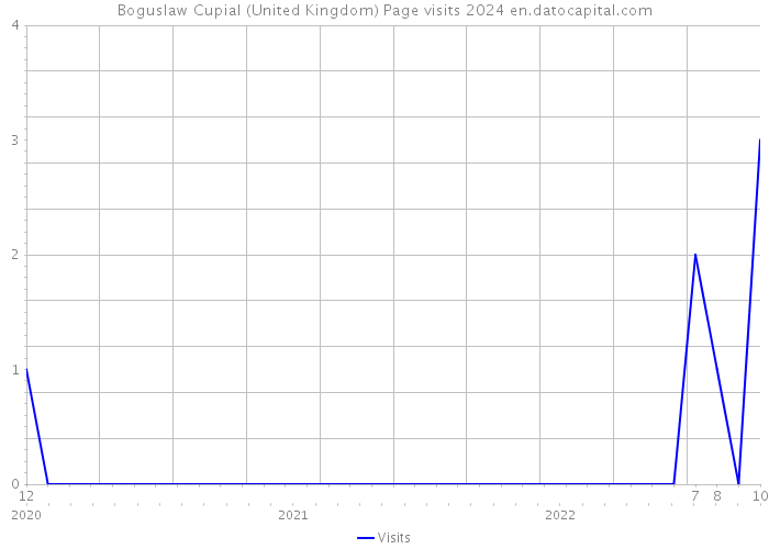 Boguslaw Cupial (United Kingdom) Page visits 2024 