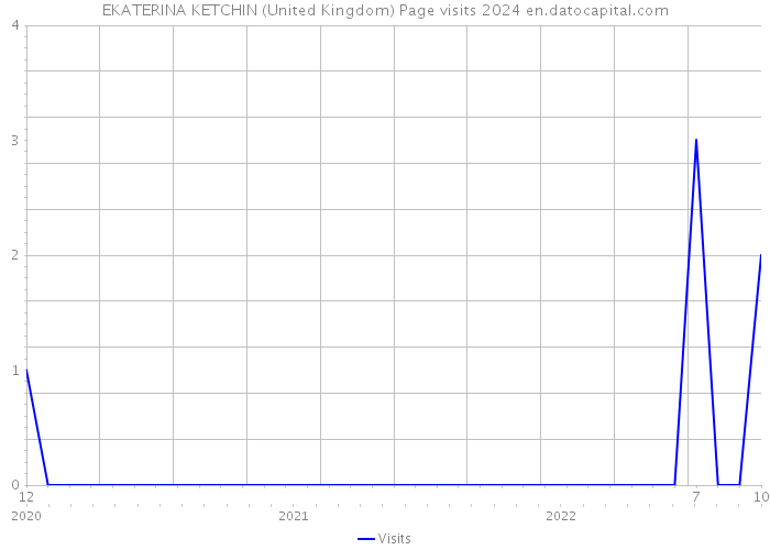 EKATERINA KETCHIN (United Kingdom) Page visits 2024 