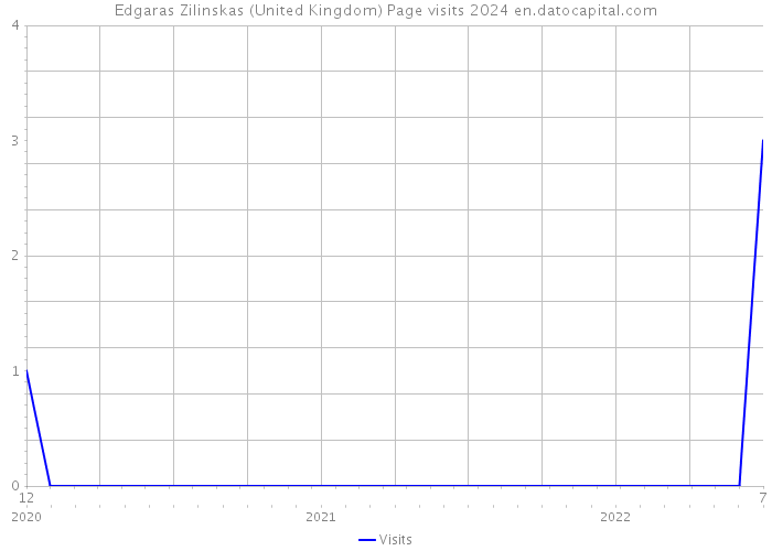 Edgaras Zilinskas (United Kingdom) Page visits 2024 