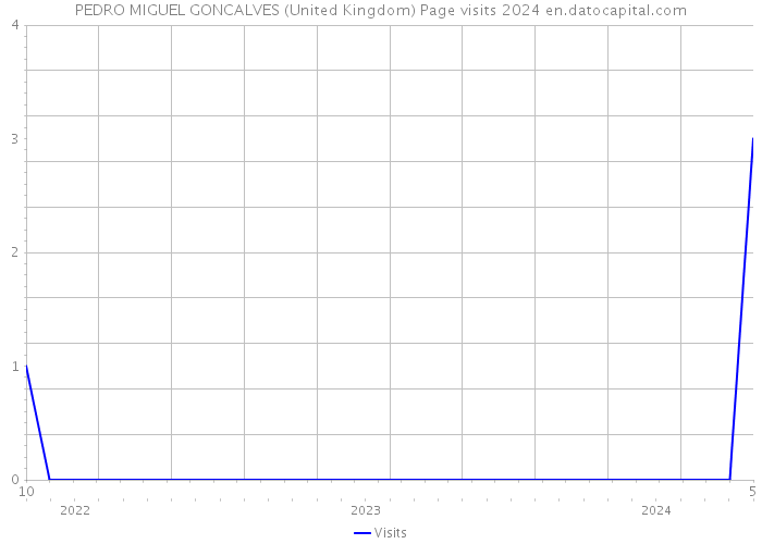 PEDRO MIGUEL GONCALVES (United Kingdom) Page visits 2024 