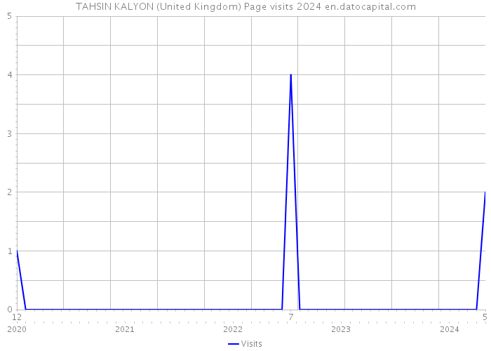 TAHSIN KALYON (United Kingdom) Page visits 2024 
