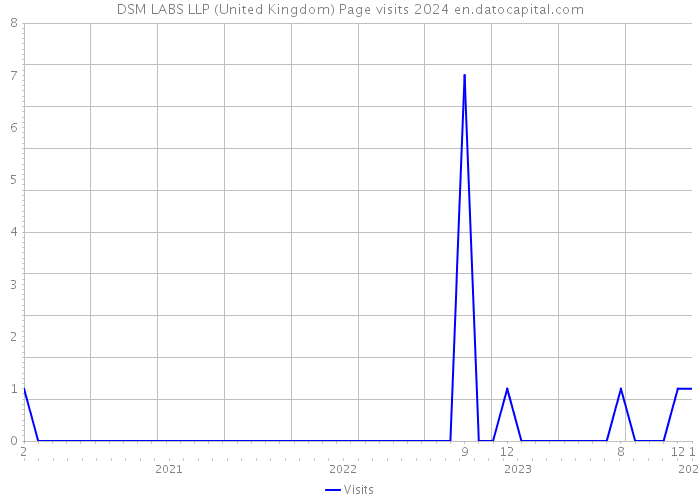 DSM LABS LLP (United Kingdom) Page visits 2024 
