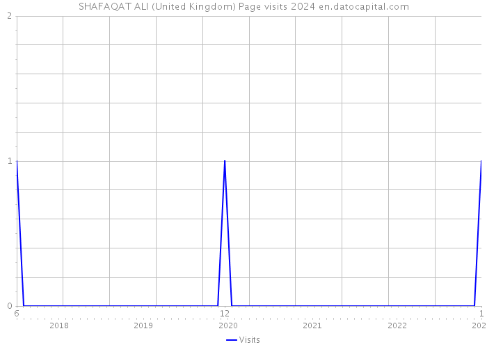 SHAFAQAT ALI (United Kingdom) Page visits 2024 