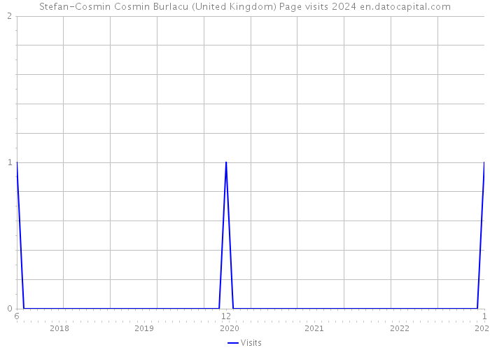 Stefan-Cosmin Cosmin Burlacu (United Kingdom) Page visits 2024 
