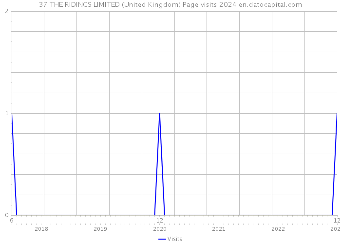 37 THE RIDINGS LIMITED (United Kingdom) Page visits 2024 