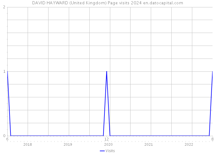 DAVID HAYWARD (United Kingdom) Page visits 2024 