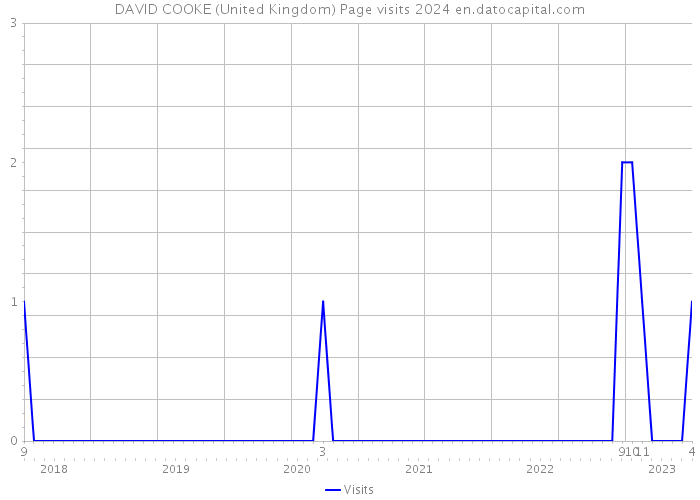 DAVID COOKE (United Kingdom) Page visits 2024 