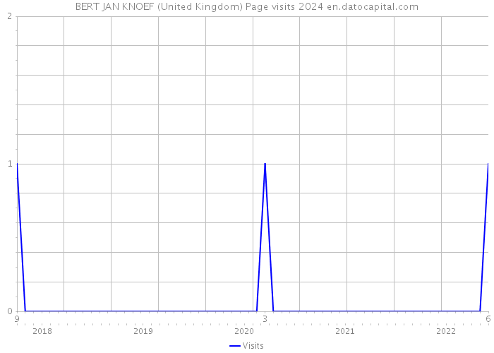 BERT JAN KNOEF (United Kingdom) Page visits 2024 