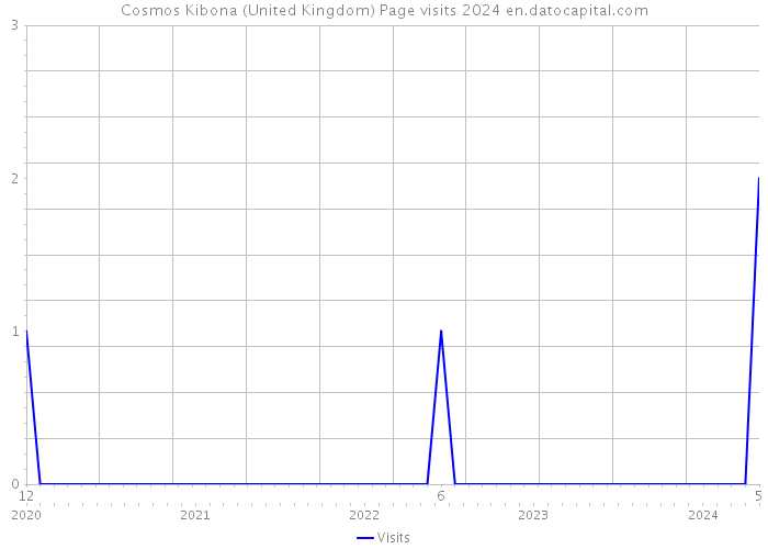 Cosmos Kibona (United Kingdom) Page visits 2024 