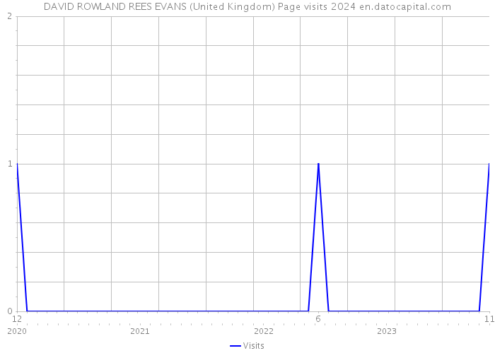DAVID ROWLAND REES EVANS (United Kingdom) Page visits 2024 