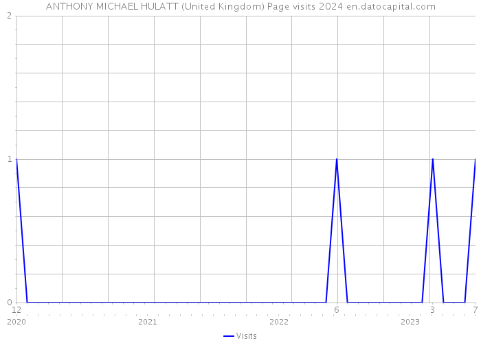 ANTHONY MICHAEL HULATT (United Kingdom) Page visits 2024 