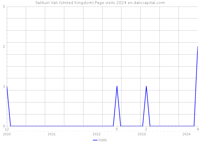 Salikun Vali (United Kingdom) Page visits 2024 