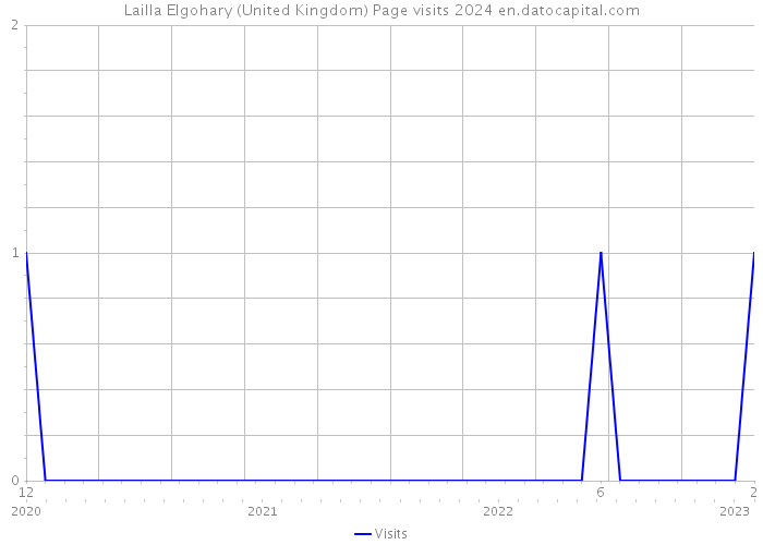 Lailla Elgohary (United Kingdom) Page visits 2024 