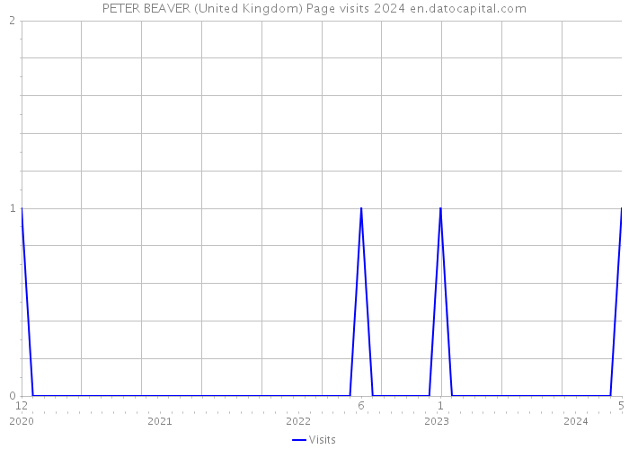PETER BEAVER (United Kingdom) Page visits 2024 