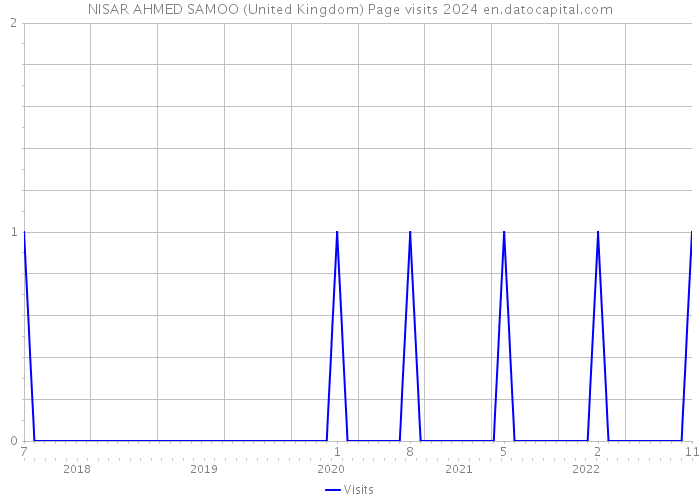 NISAR AHMED SAMOO (United Kingdom) Page visits 2024 
