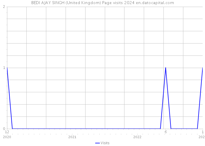 BEDI AJAY SINGH (United Kingdom) Page visits 2024 