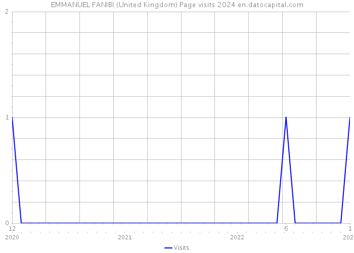 EMMANUEL FANIBI (United Kingdom) Page visits 2024 