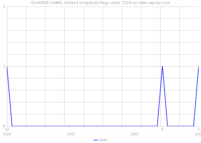 OLAMIDE LAWAL (United Kingdom) Page visits 2024 