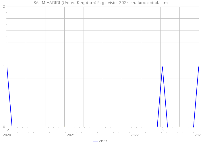 SALIM HADIDI (United Kingdom) Page visits 2024 
