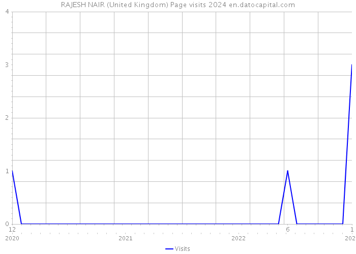 RAJESH NAIR (United Kingdom) Page visits 2024 