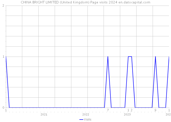 CHINA BRIGHT LIMITED (United Kingdom) Page visits 2024 