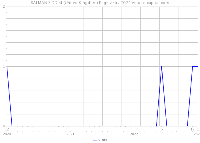 SALMAN SIDDIKI (United Kingdom) Page visits 2024 