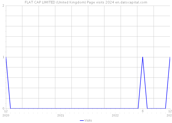 FLAT CAP LIMITED (United Kingdom) Page visits 2024 