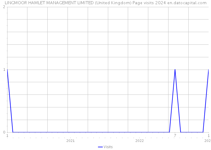 LINGMOOR HAMLET MANAGEMENT LIMITED (United Kingdom) Page visits 2024 