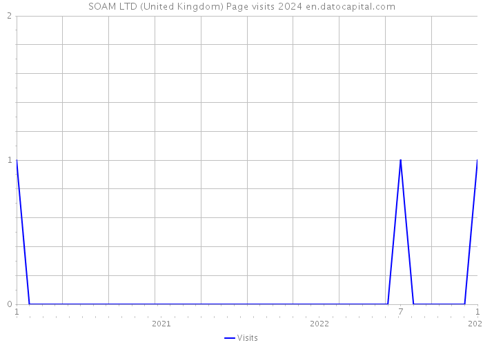 SOAM LTD (United Kingdom) Page visits 2024 