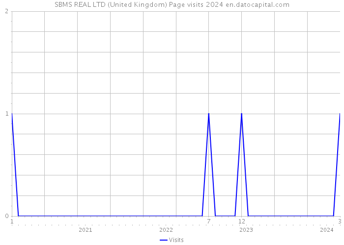SBMS REAL LTD (United Kingdom) Page visits 2024 