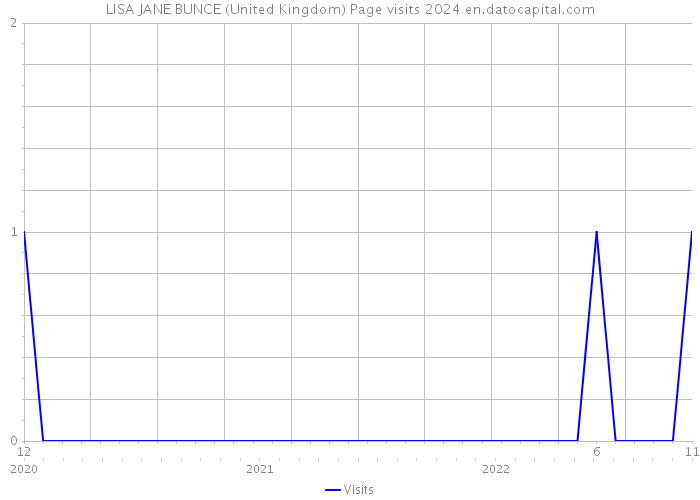 LISA JANE BUNCE (United Kingdom) Page visits 2024 