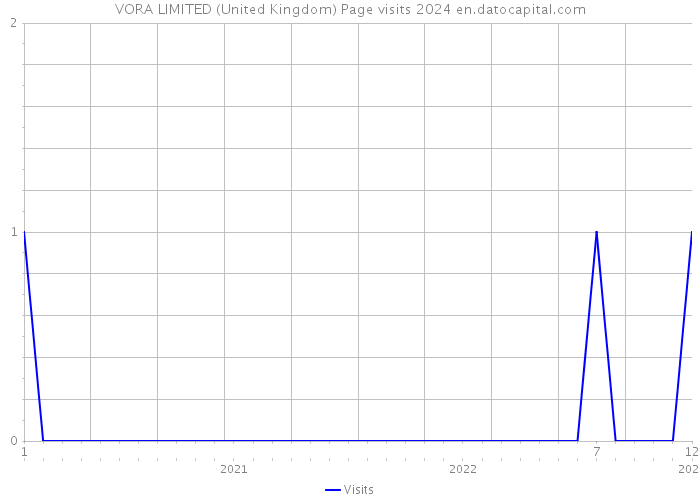 VORA LIMITED (United Kingdom) Page visits 2024 