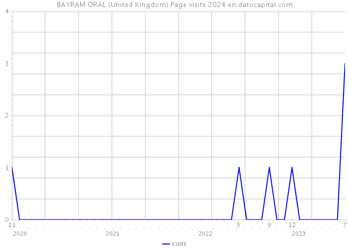BAYRAM ORAL (United Kingdom) Page visits 2024 