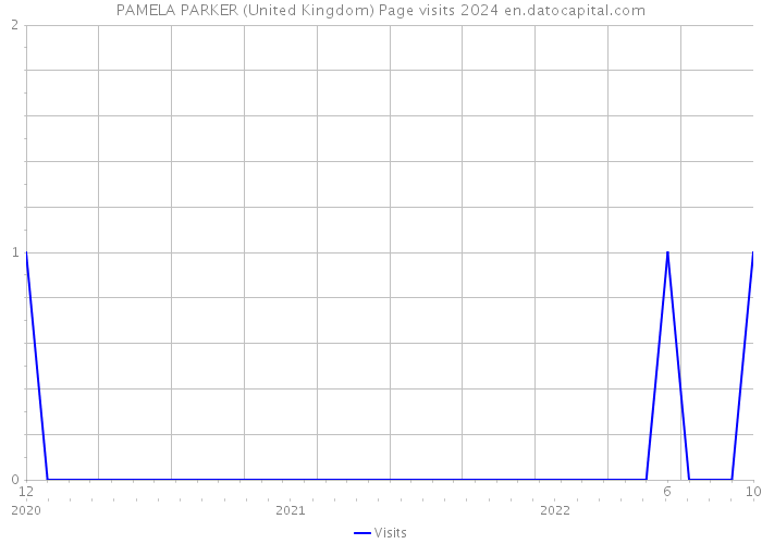 PAMELA PARKER (United Kingdom) Page visits 2024 