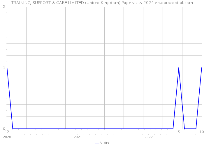 TRAINING, SUPPORT & CARE LIMITED (United Kingdom) Page visits 2024 