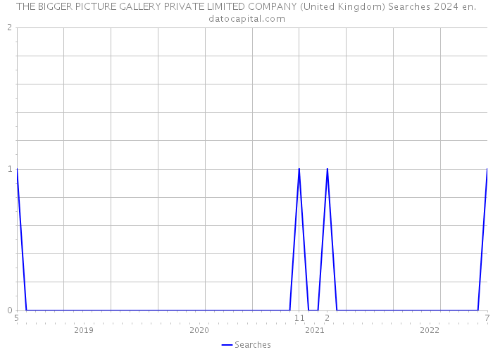 THE BIGGER PICTURE GALLERY PRIVATE LIMITED COMPANY (United Kingdom) Searches 2024 