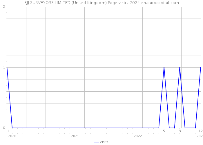 BJJ SURVEYORS LIMITED (United Kingdom) Page visits 2024 