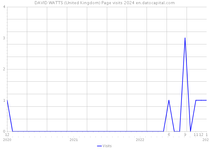 DAVID WATTS (United Kingdom) Page visits 2024 