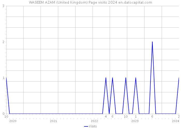 WASEEM AZAM (United Kingdom) Page visits 2024 