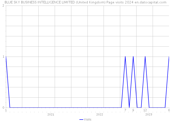 BLUE SKY BUSINESS INTELLIGENCE LIMITED (United Kingdom) Page visits 2024 