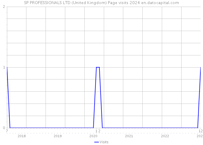 SP PROFESSIONALS LTD (United Kingdom) Page visits 2024 