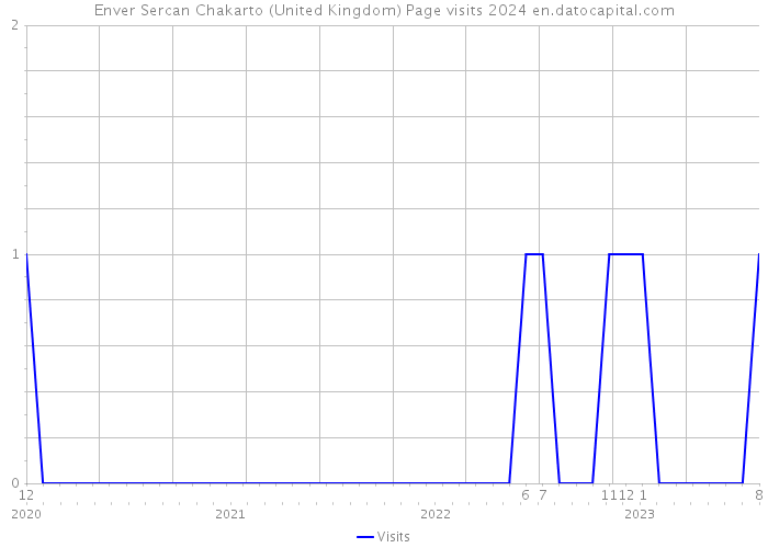 Enver Sercan Chakarto (United Kingdom) Page visits 2024 