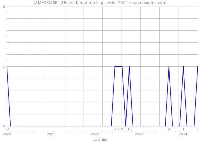 JAMES GABEL (United Kingdom) Page visits 2024 