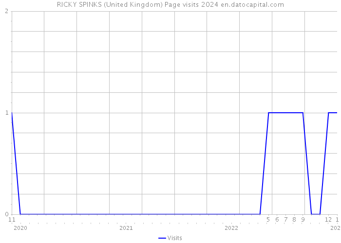 RICKY SPINKS (United Kingdom) Page visits 2024 