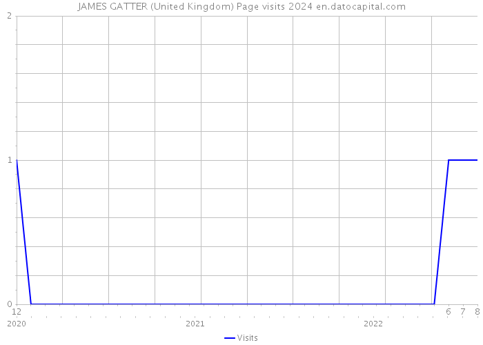 JAMES GATTER (United Kingdom) Page visits 2024 