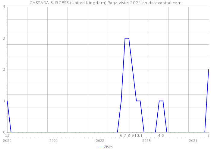 CASSARA BURGESS (United Kingdom) Page visits 2024 
