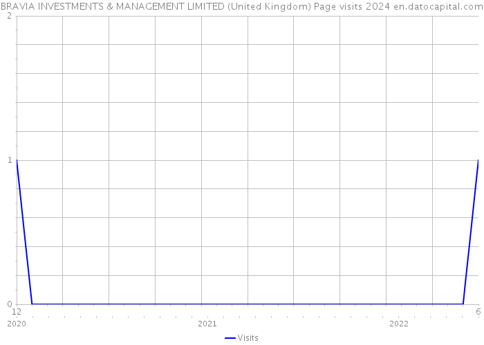 BRAVIA INVESTMENTS & MANAGEMENT LIMITED (United Kingdom) Page visits 2024 