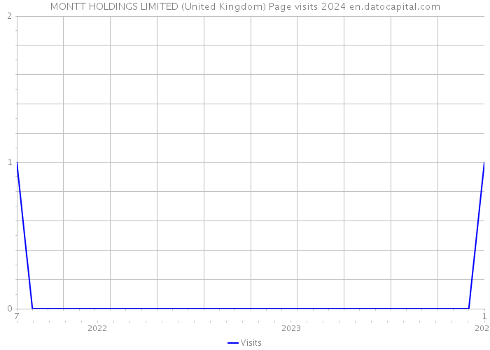MONTT HOLDINGS LIMITED (United Kingdom) Page visits 2024 