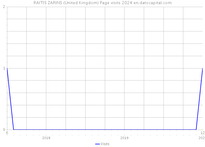 RAITIS ZARINS (United Kingdom) Page visits 2024 